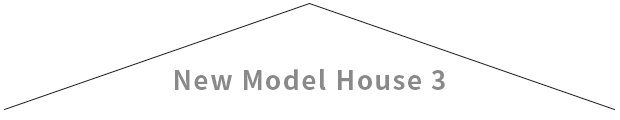 model house 03